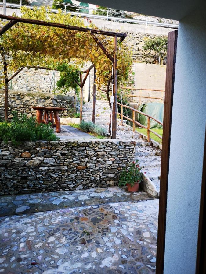 B&B Ca' Du Brigidin Tovo San Giacomo Eksteriør bilde