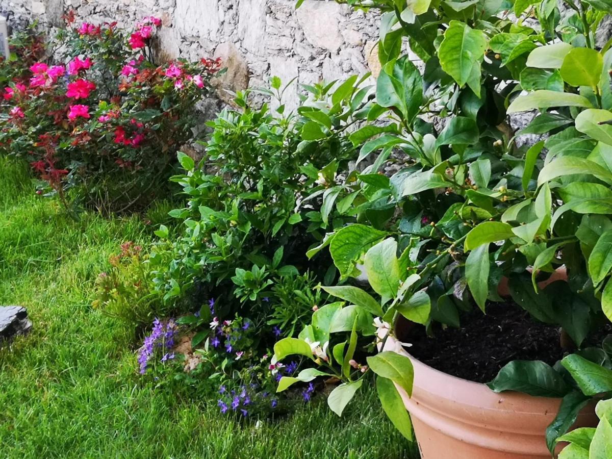 B&B Ca' Du Brigidin Tovo San Giacomo Eksteriør bilde