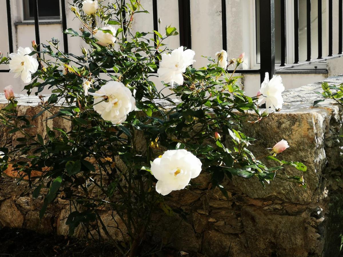 B&B Ca' Du Brigidin Tovo San Giacomo Eksteriør bilde