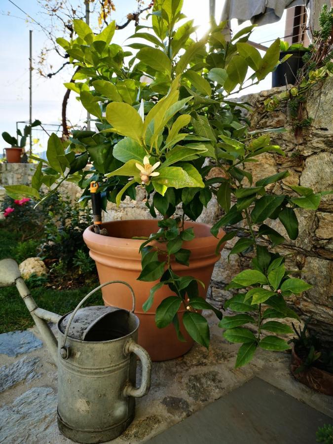 B&B Ca' Du Brigidin Tovo San Giacomo Eksteriør bilde
