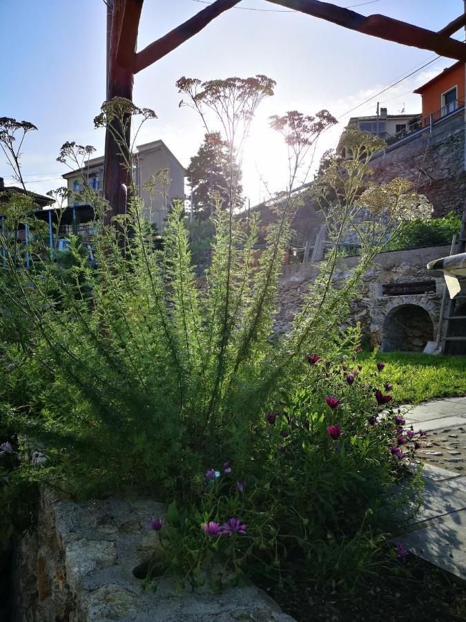 B&B Ca' Du Brigidin Tovo San Giacomo Eksteriør bilde